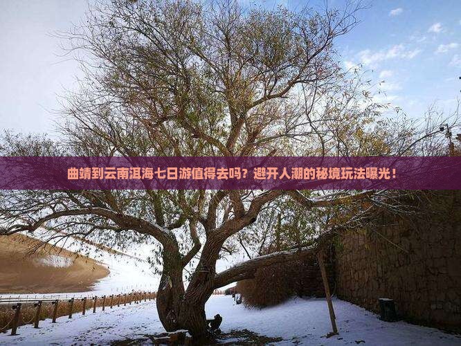曲靖到云南洱海七日游
