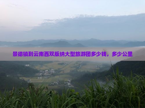 景德镇到云南西双版纳大型旅游团