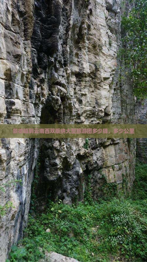 景德镇到云南西双版纳大型旅游团