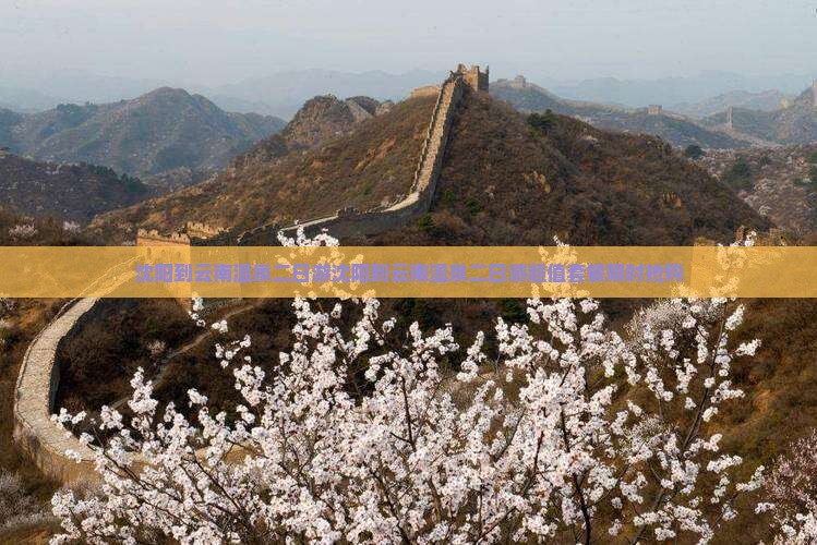 沈阳到云南温泉二日游