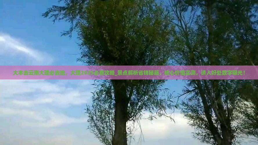 大丰去云南大理必去地