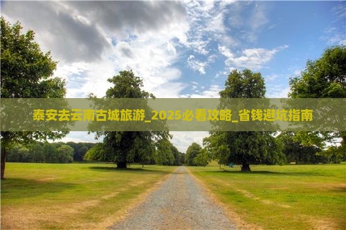 泰安去云南古城旅游