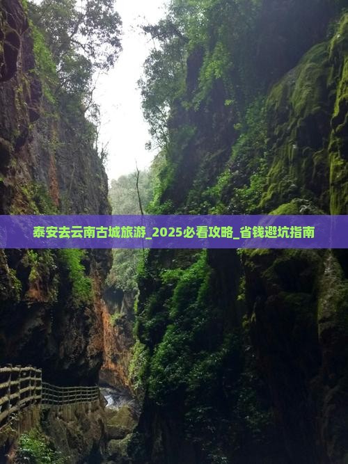 泰安去云南古城旅游