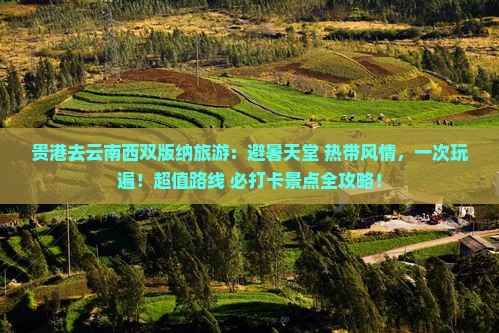 贵港去云南西双版纳旅游