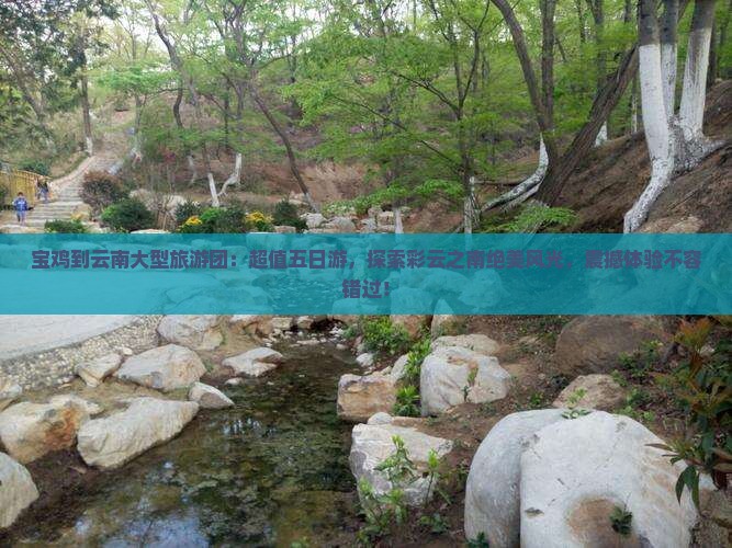 宝鸡到云南大型旅游团