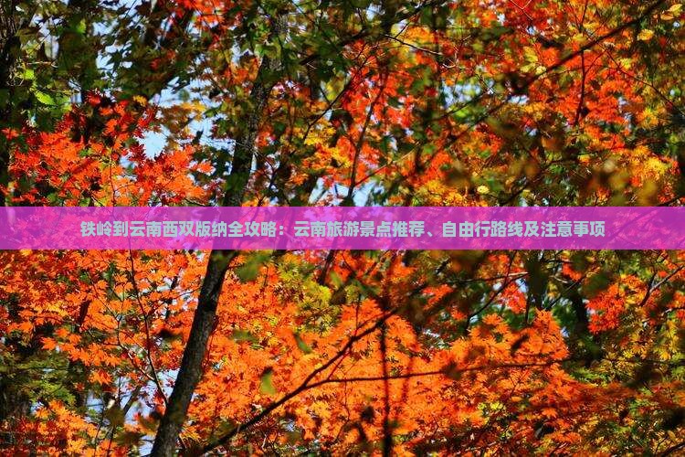 铁岭到云南西双版纳全攻略：云南旅游景点推荐、自由行路线及注意事项