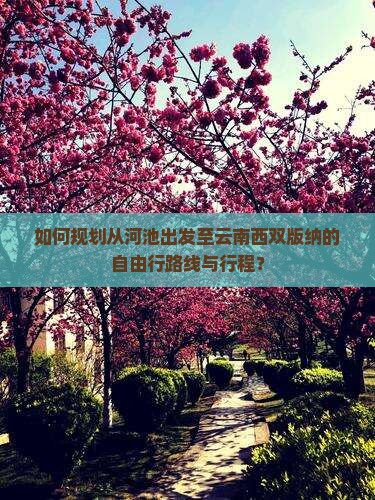 如何规划从河池出发至云南西双版纳的自由行路线与行程？