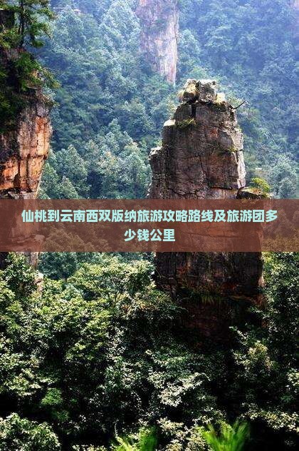 仙桃到云南西双版纳旅游攻略路线及旅游团多少钱公里
