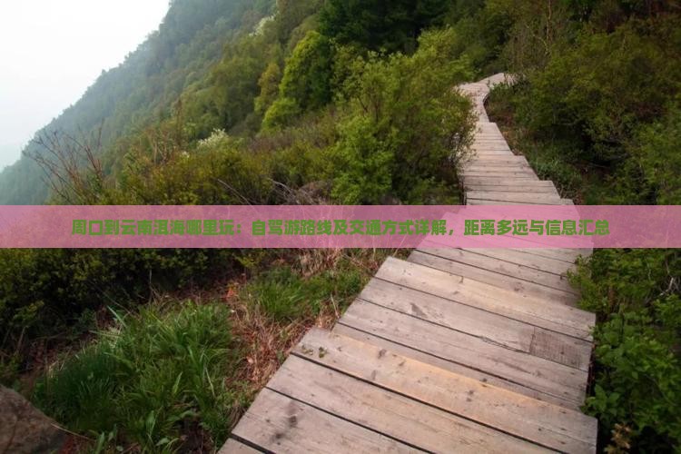 周口到云南洱海哪里玩：自驾游路线及交通方式详解，距离多远与信息汇总