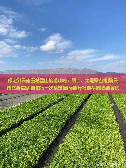 保定到云南玉龙雪山旅游攻略：丽江、大理景点推荐|云南旅游信息|自由行一次搞定|国际旅行社推荐|南昌游客优选