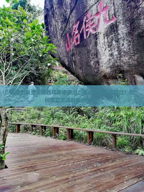 醴陵出发至云南西双版纳旅游：哪些小吃不容错过？如何品尝地道的版纳美食？