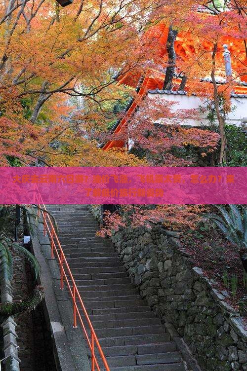 大庆去云南六日游？油价飞涨，飞机票太贵，怎么办？来了解低价旅行新姿势