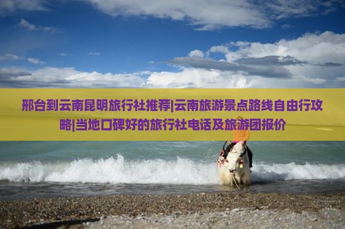 邢台到云南昆明旅行社推荐|云南旅游景点路线自由行攻略|当地口碑好的旅行社电话及旅游团报价