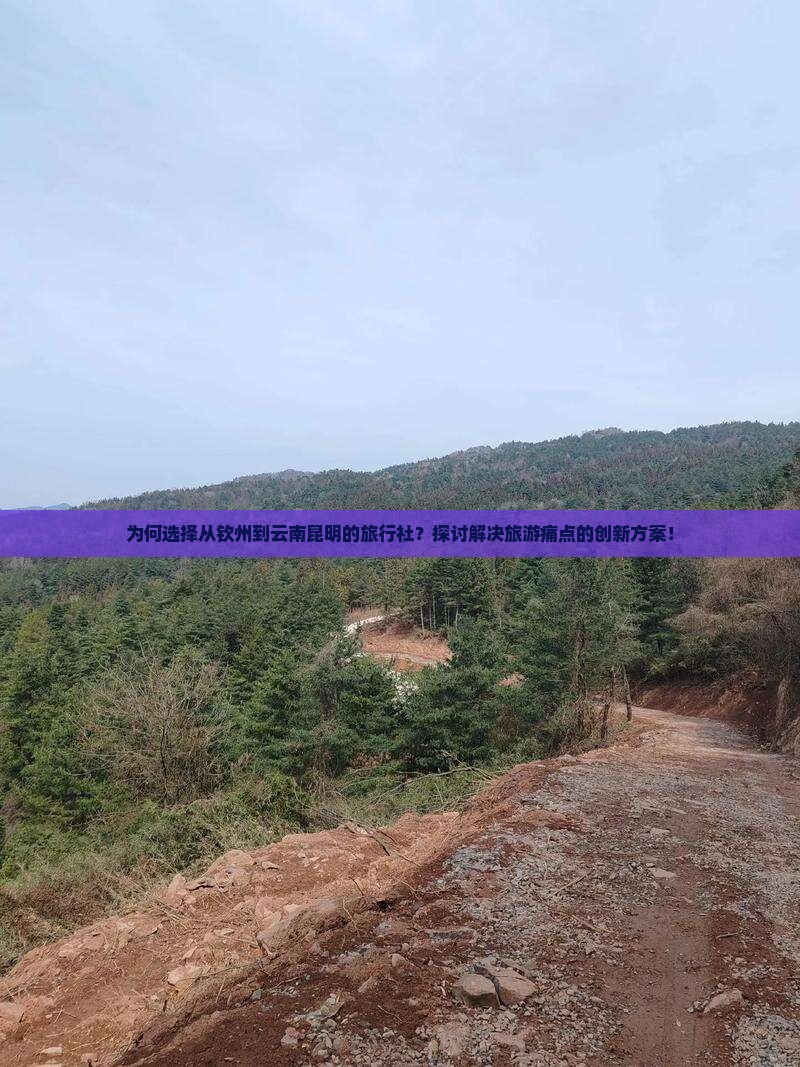 为何选择从钦州到云南昆明的旅行社？探讨解决旅游痛点的创新方案！