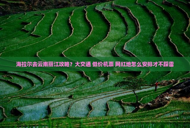海拉尔去云南丽江攻略？大交通+低价机票+网红地怎么安排才不踩雷