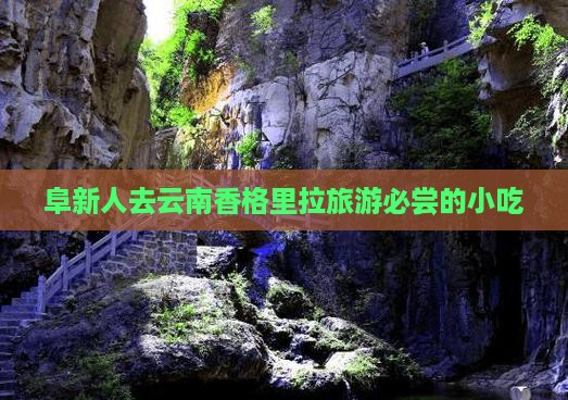 阜新人去云南香格里拉旅游必尝的小吃