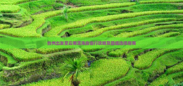 台州出发至云南洱海自由行攻略及团组选择指南