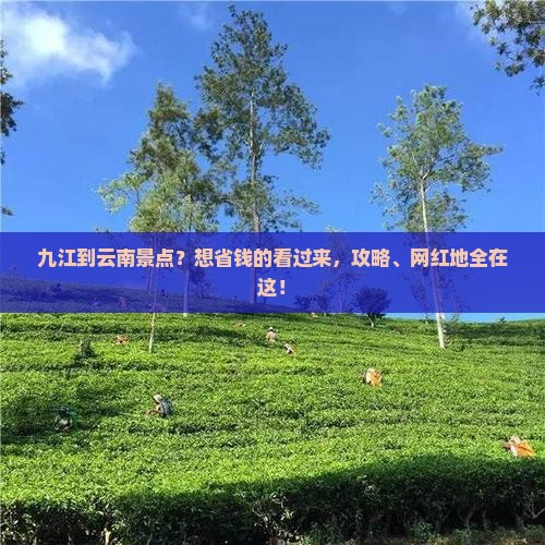 九江到云南景点？想省钱的看过来，攻略、网红地全在这！