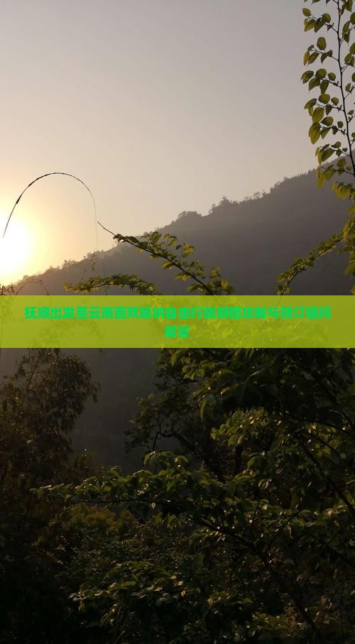 抚顺出发至云南西双版纳自由行旅游团攻略与预订疑问解答