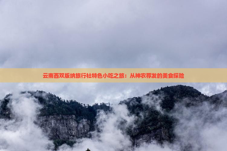 云南西双版纳旅行社特色小吃之旅：从神农荐发的美食探险