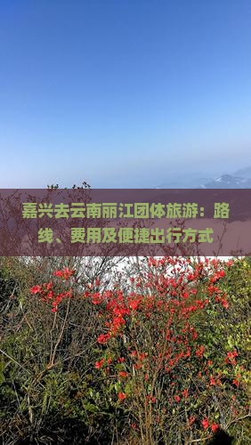 嘉兴去云南丽江团体旅游：路线、费用及便捷出行方式