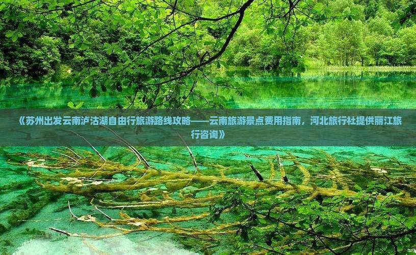 《苏州出发云南泸沽湖自由行旅游路线攻略——云南旅游景点费用指南，河北旅行社提供丽江旅行咨询》