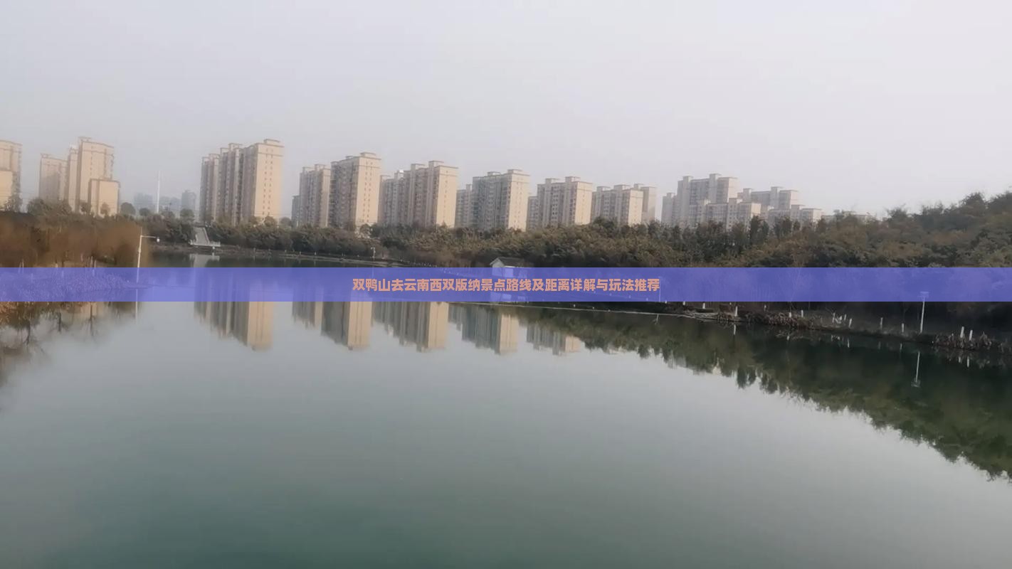 双鸭山去云南西双版纳景点路线及距离详解与玩法推荐