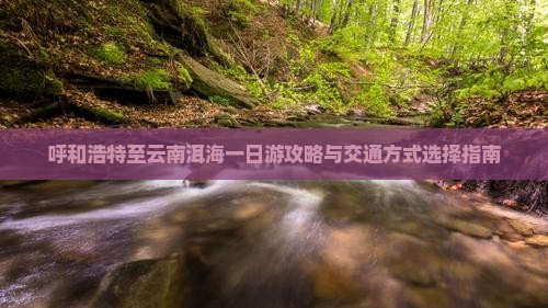 呼和浩特至云南洱海一日游攻略与交通方式选择指南