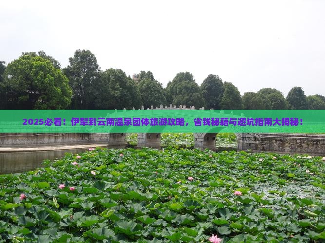 伊犁去云南温泉团体旅游
