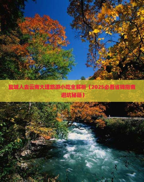 盐城去云南大理旅游小吃