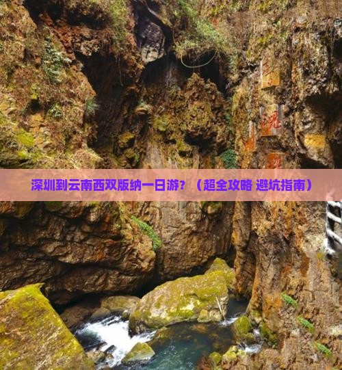 深圳去云南西双版纳一日