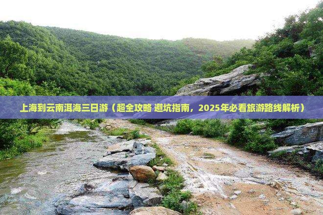 上海到云南洱海三日游
