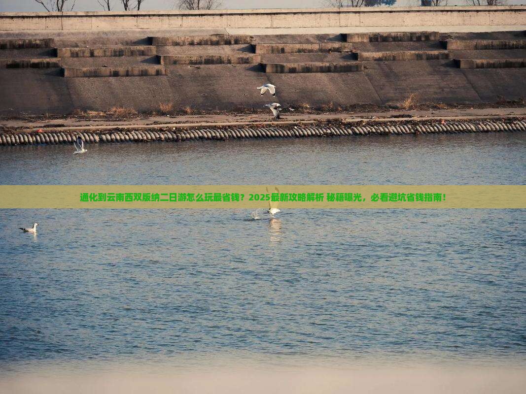 通化到云南西双版纳二日游