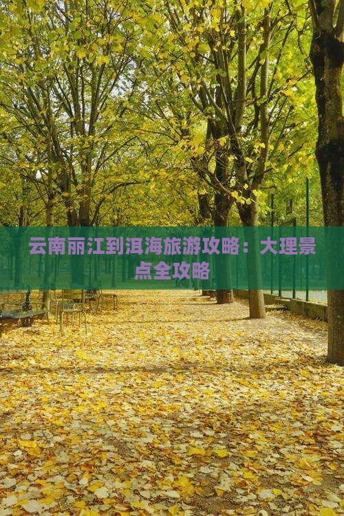 丽江到云南洱海哪里玩