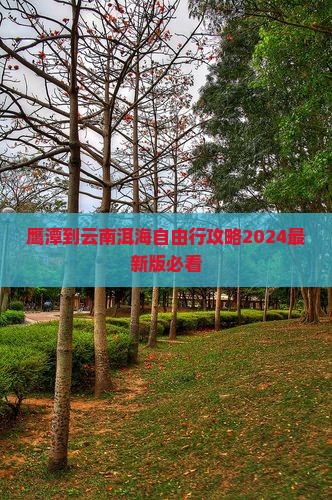 鹰潭到云南洱海自由行