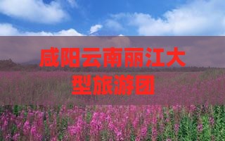 咸阳去云南丽江大型旅游团