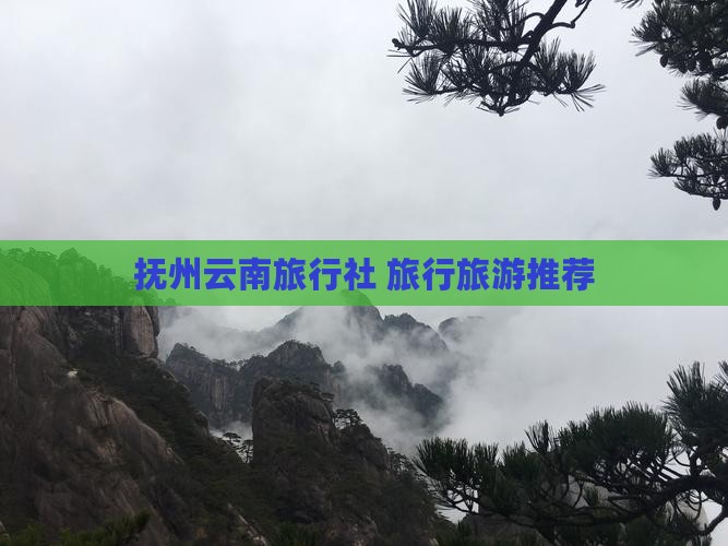抚州去云南旅行社