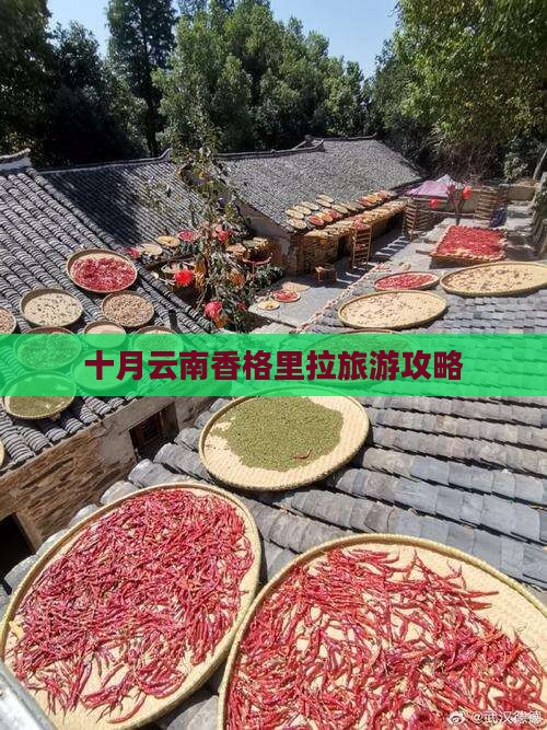 十月到云南香格里拉一日