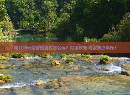 阳江到云南香格里拉景点