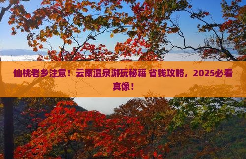 仙桃去云南温泉哪里玩