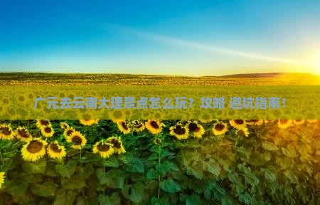 广元去云南大理景点