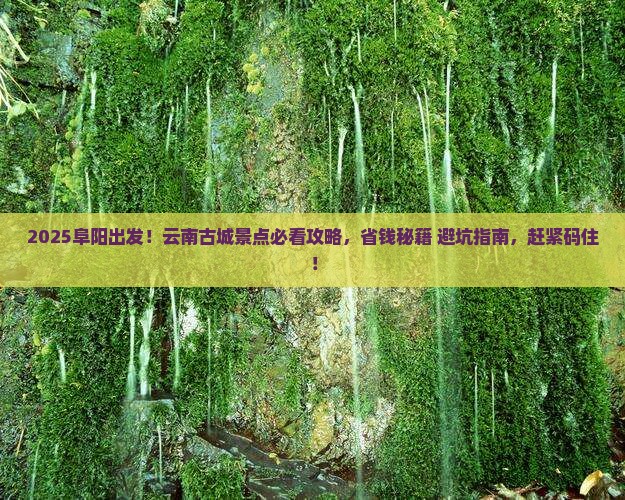 阜阳到云南古城景点