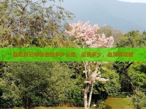 益阳到云南自由团