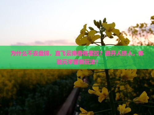 盘锦去云南香格里拉一日
