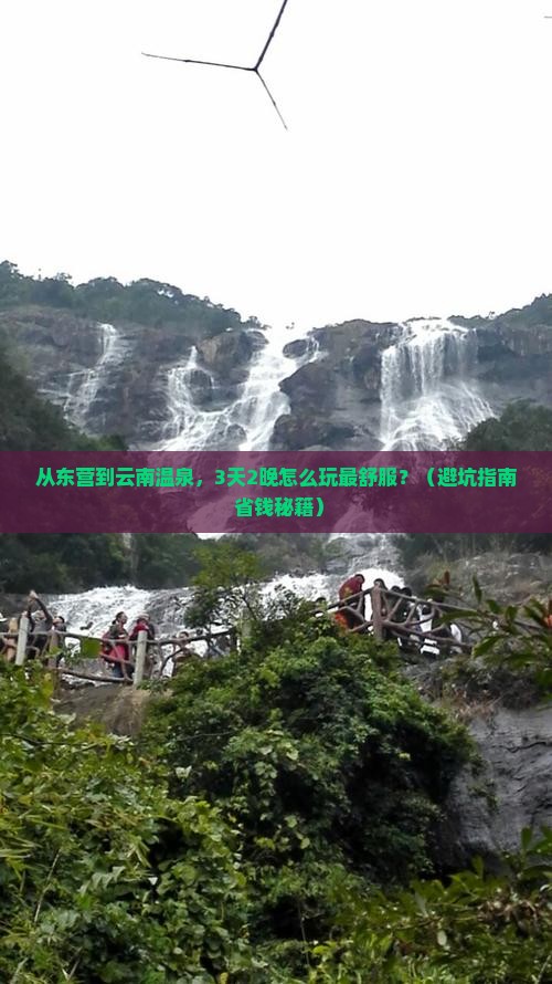 东营到云南温泉旅游