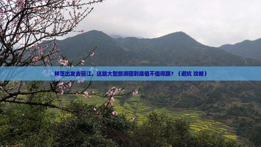 林芝去云南丽江大型旅游团