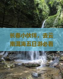 长春去云南洱海五日游