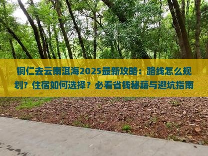铜仁去云南洱海哪里玩