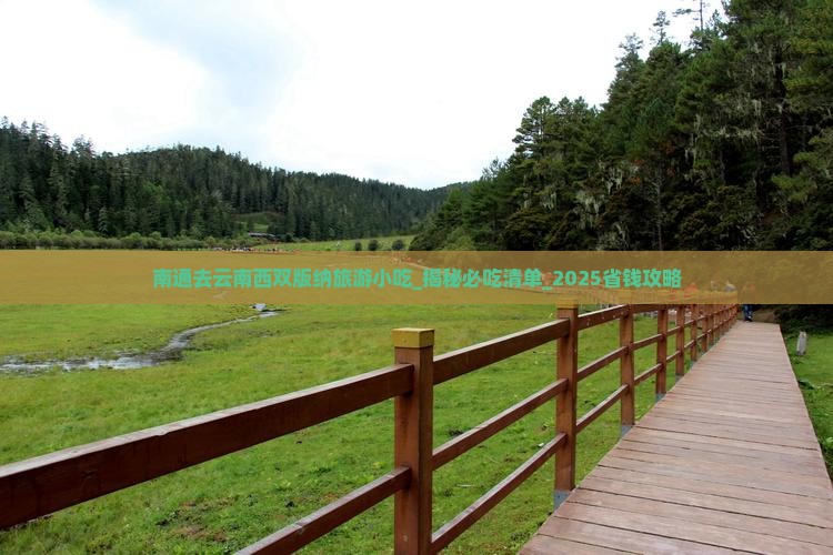 南通去云南西双版纳旅游小吃