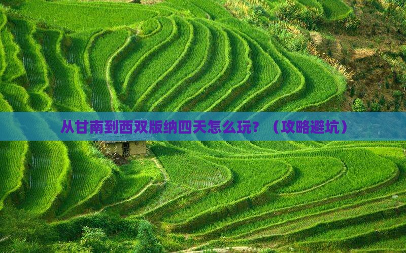 甘南去云南西双版纳四日游
